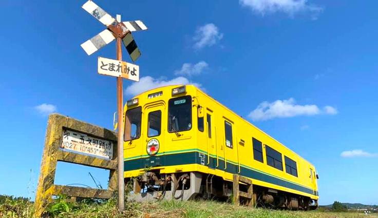 ローカル路線を繋ぐ想い 房総半島を走る いすみ鉄道 の挑戦 事業承継通信